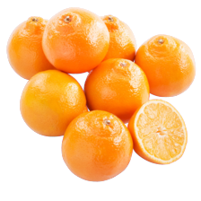 Minneola